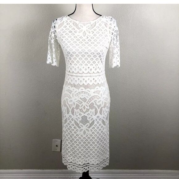 Maia Dress Womens 4 Off White Lace Sheer Lined Pencil Midi Cottagecore Feminine - Picture 1 of 14